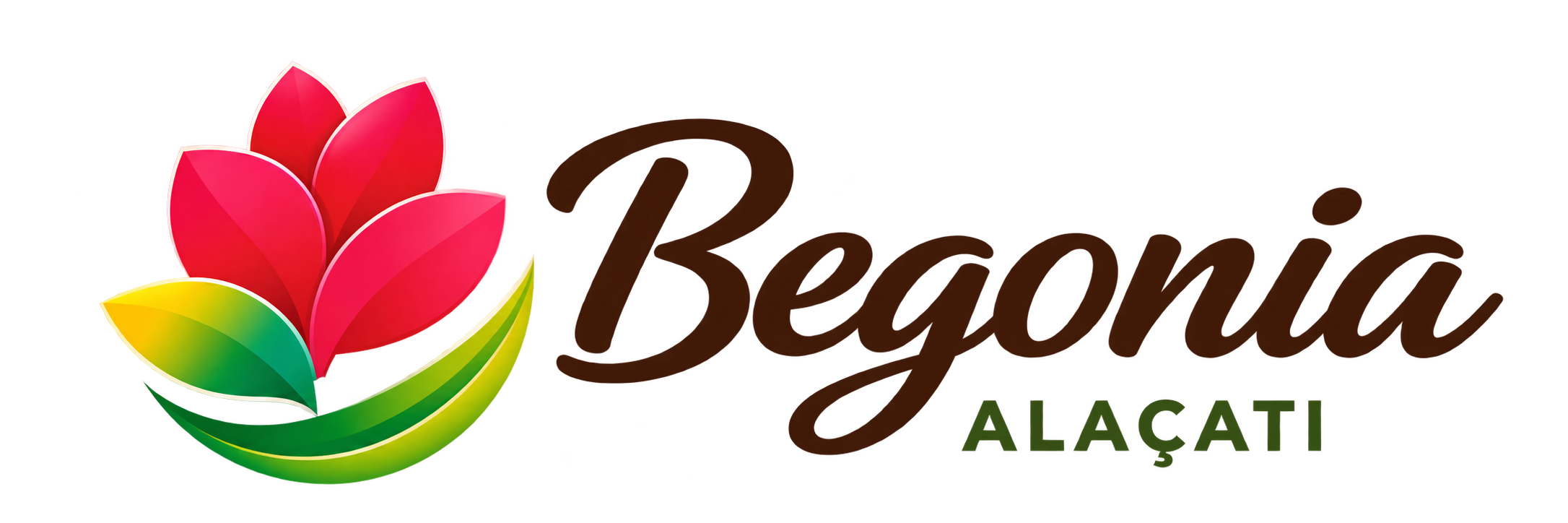 Begonia Alaçatı